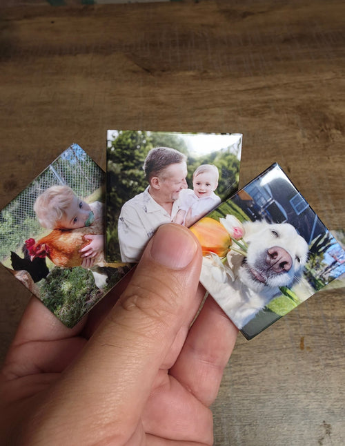 Fotomagneten – set van 6 - MAGNOLEA