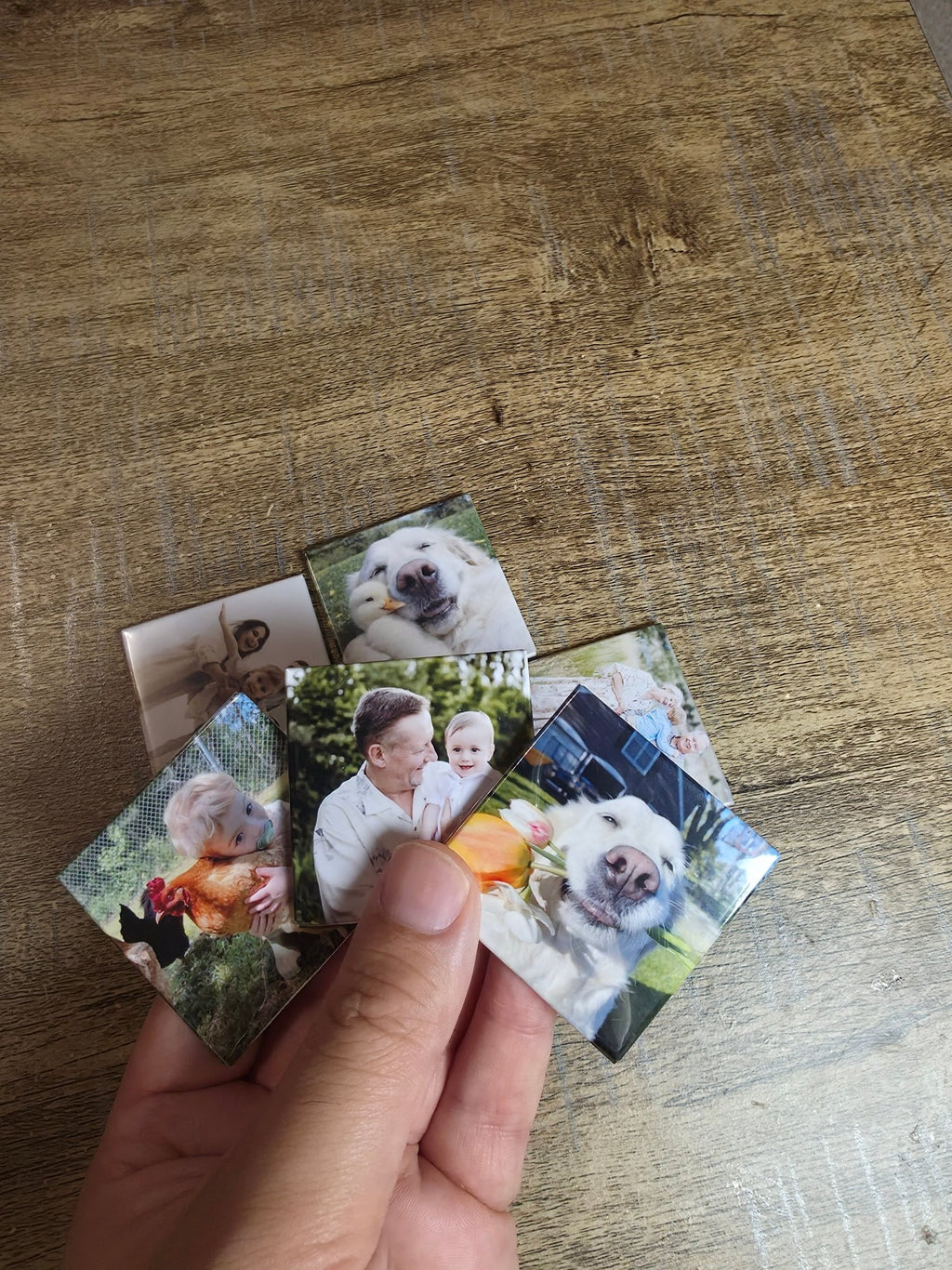 Fotomagneten – set van 6 - MAGNOLEA